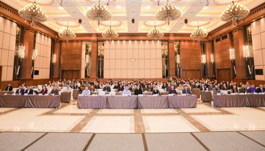 1764055464491447.png image.png