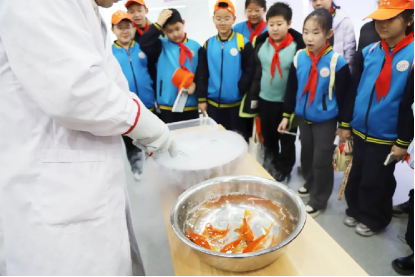 1764897546226009.png image.png